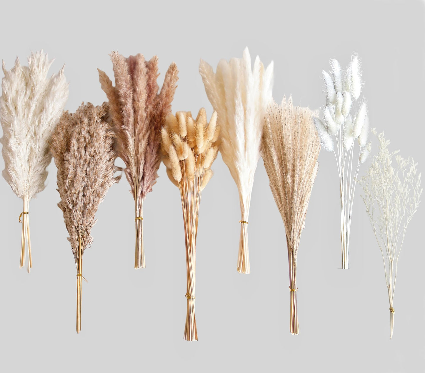Dried Pampas Grass