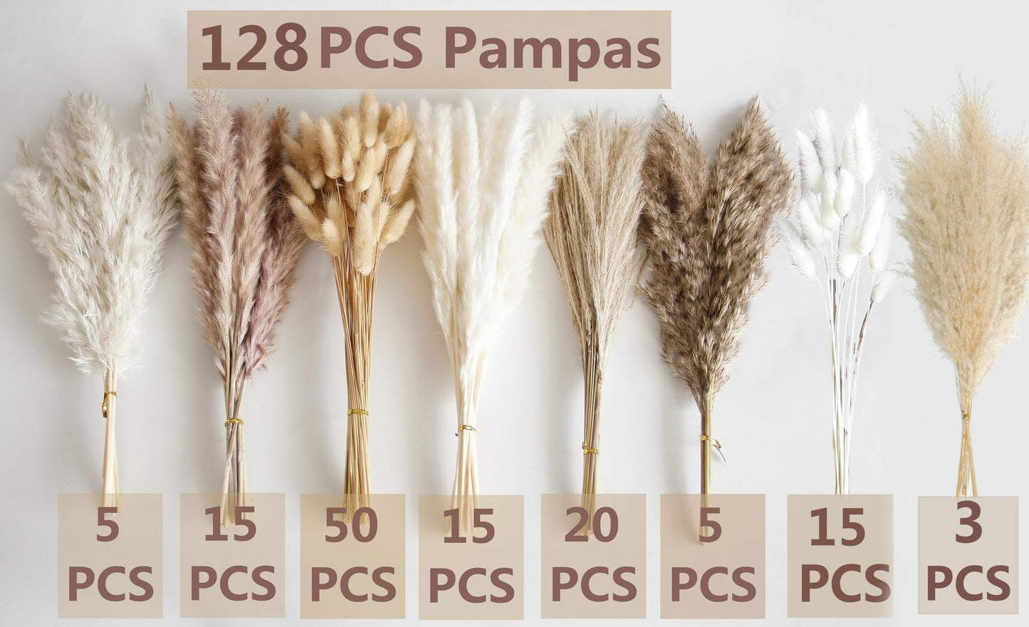 Dried Pampas Grass