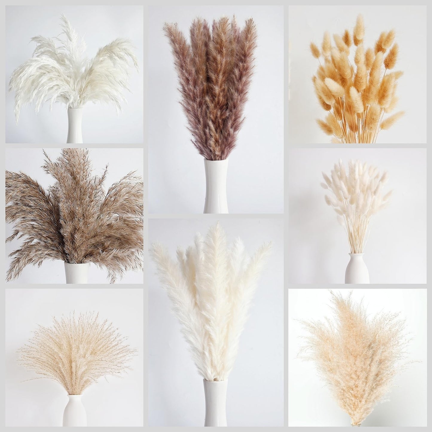 Dried Pampas Grass