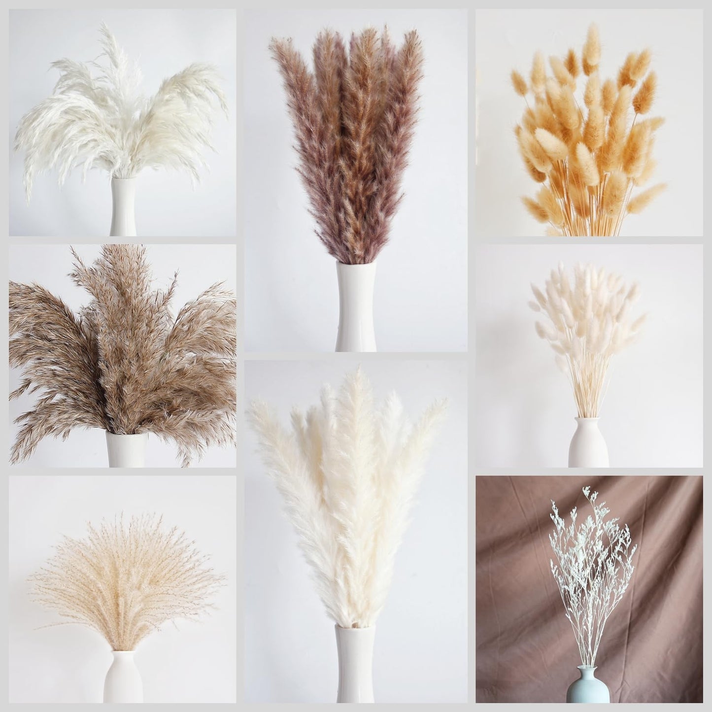 Dried Pampas Grass
