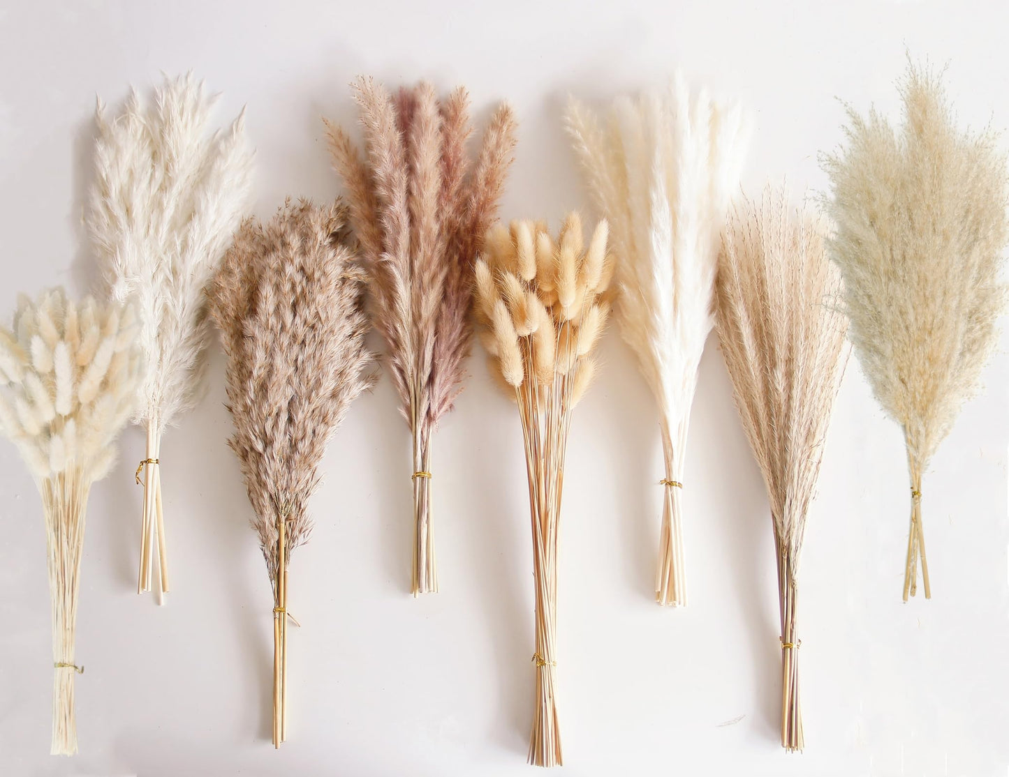 Dried Pampas Grass