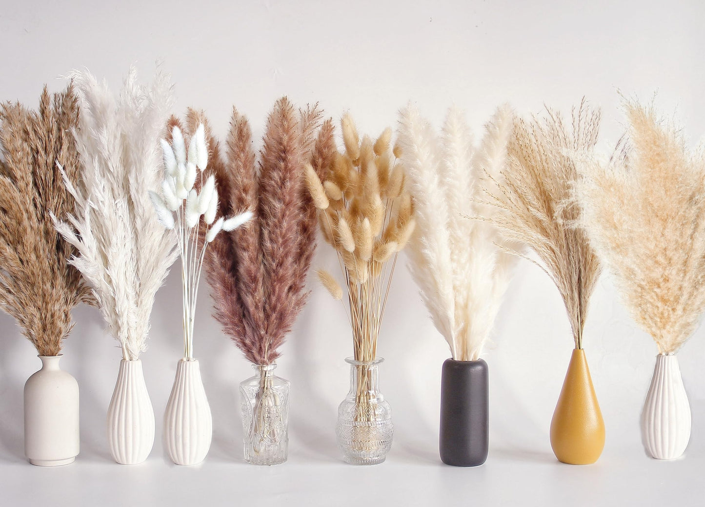 Dried Pampas Grass