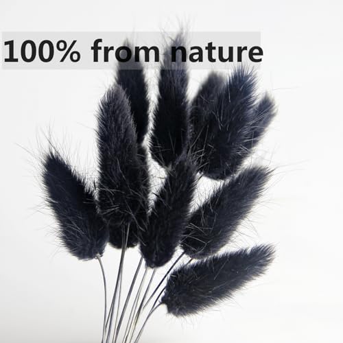 Dried Pampas Grass