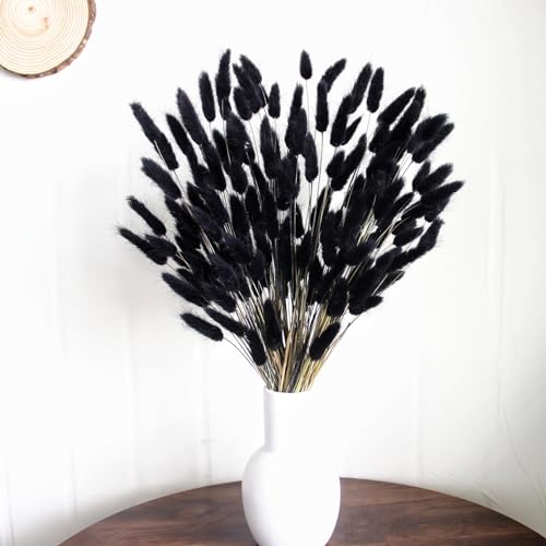 Dried Pampas Grass