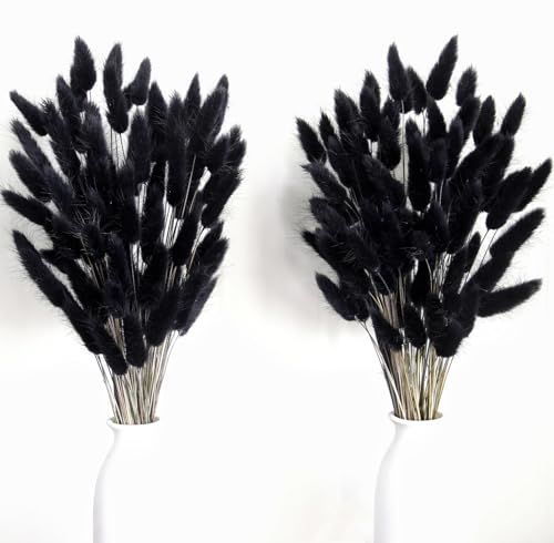 Dried Pampas Grass