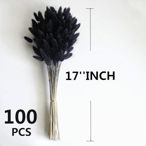 Dried Pampas Grass