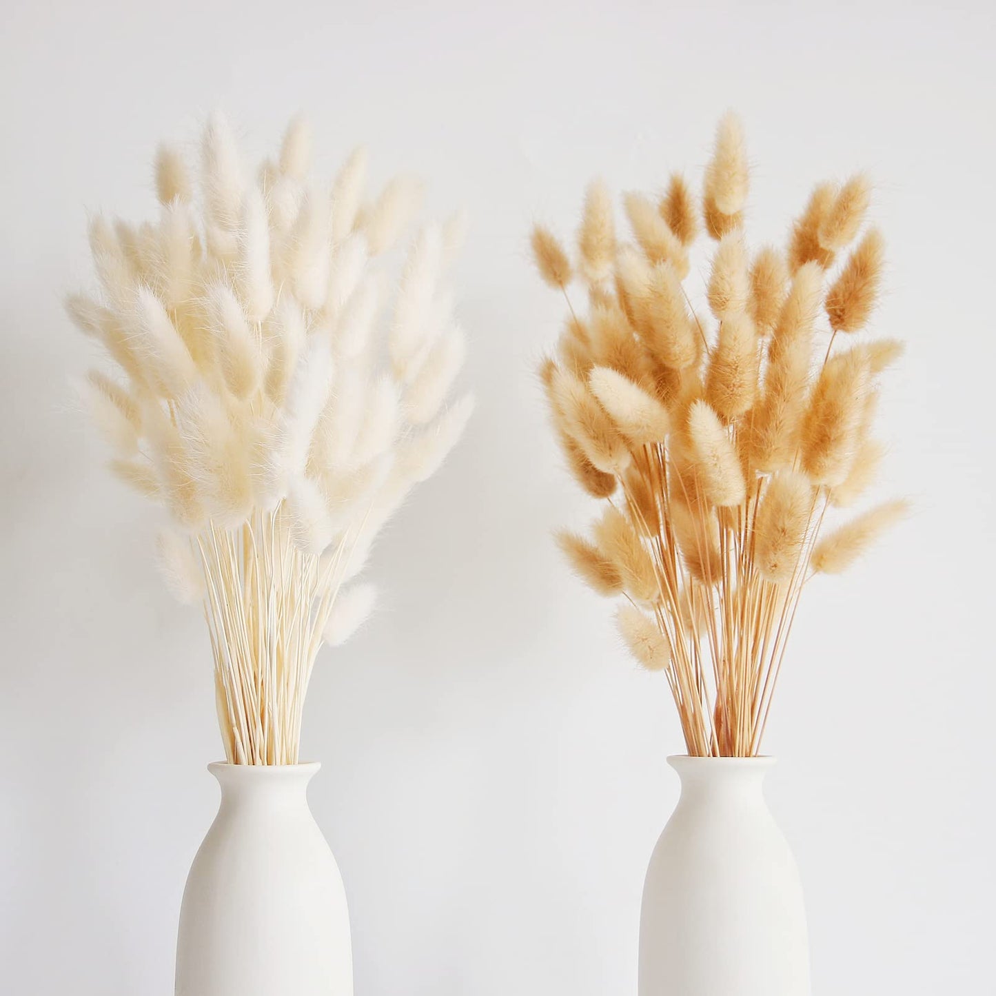 Dried Pampas Grass