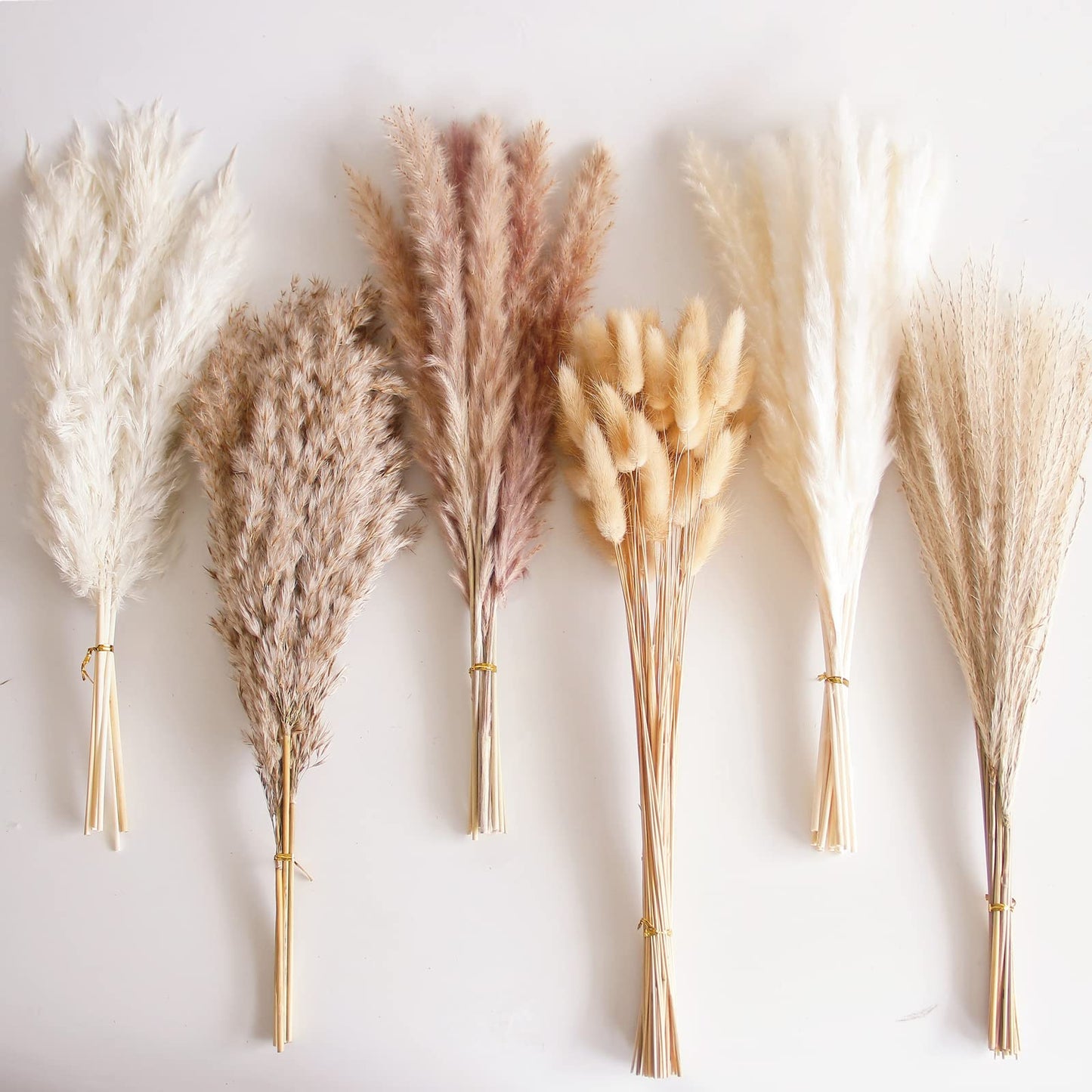 Dried Pampas Grass