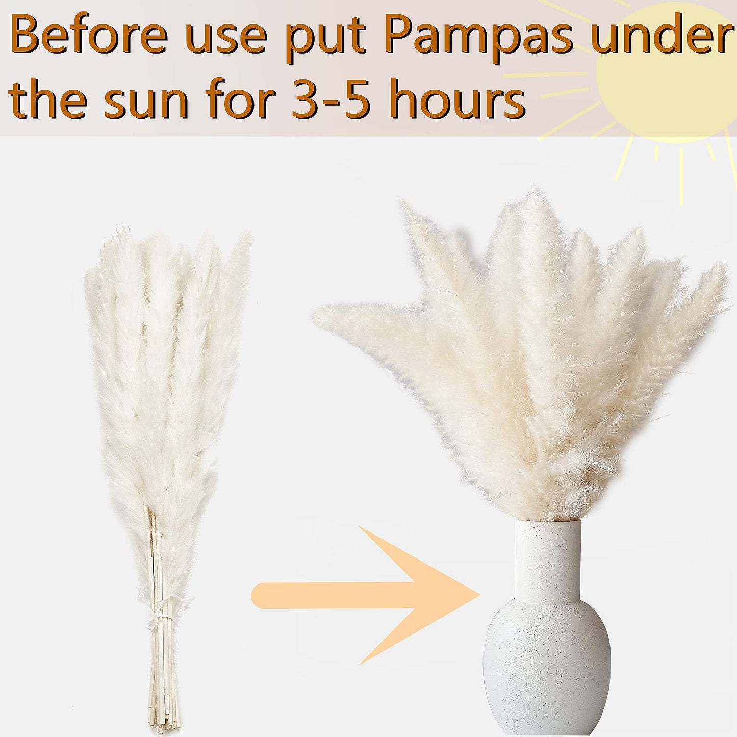 Dried Pampas Grass