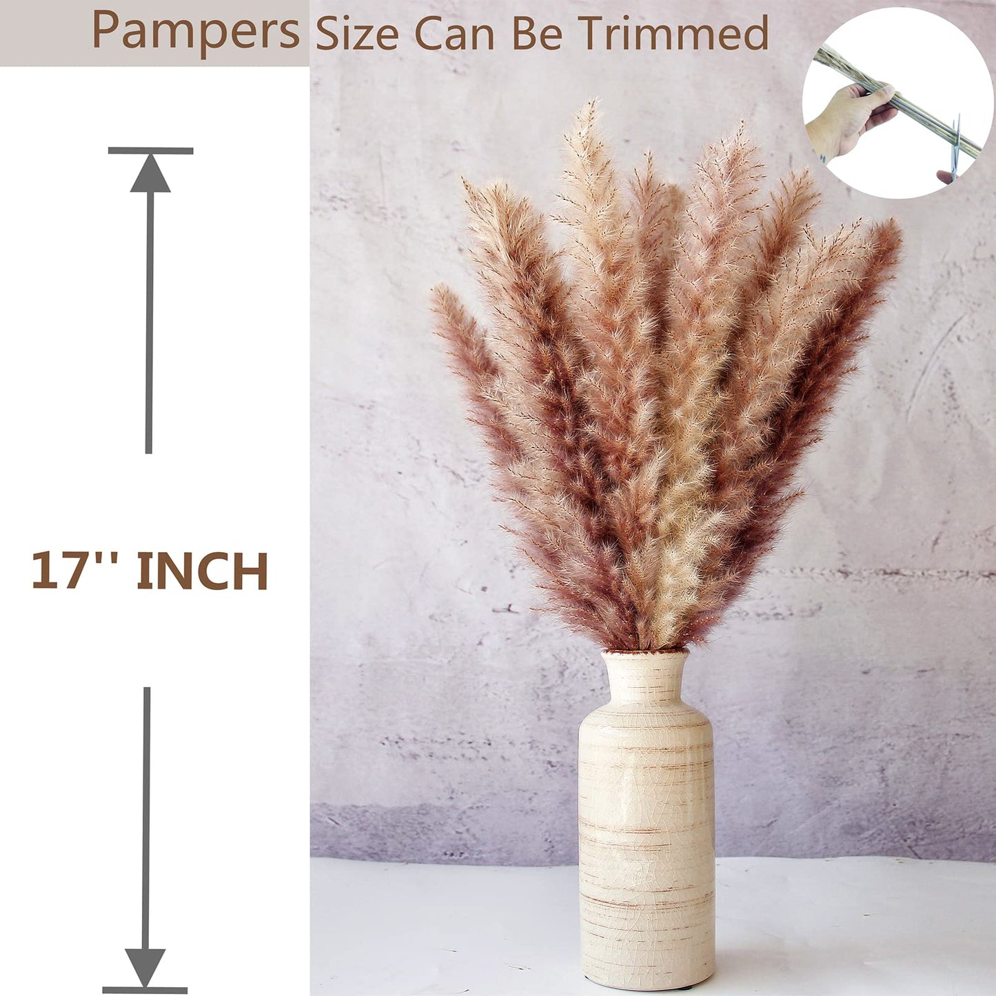 Dried Pampas Grass
