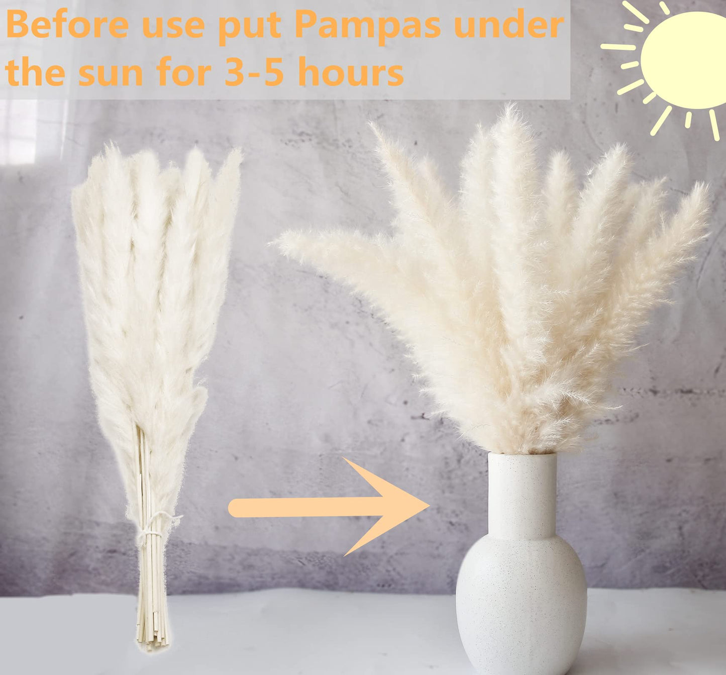 Dried Pampas Grass