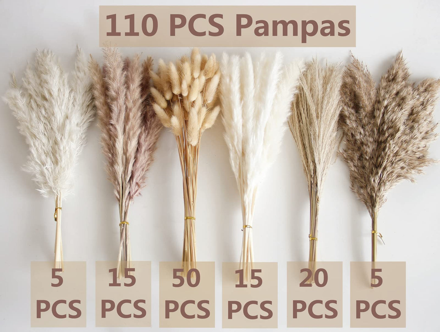 Dried Pampas Grass