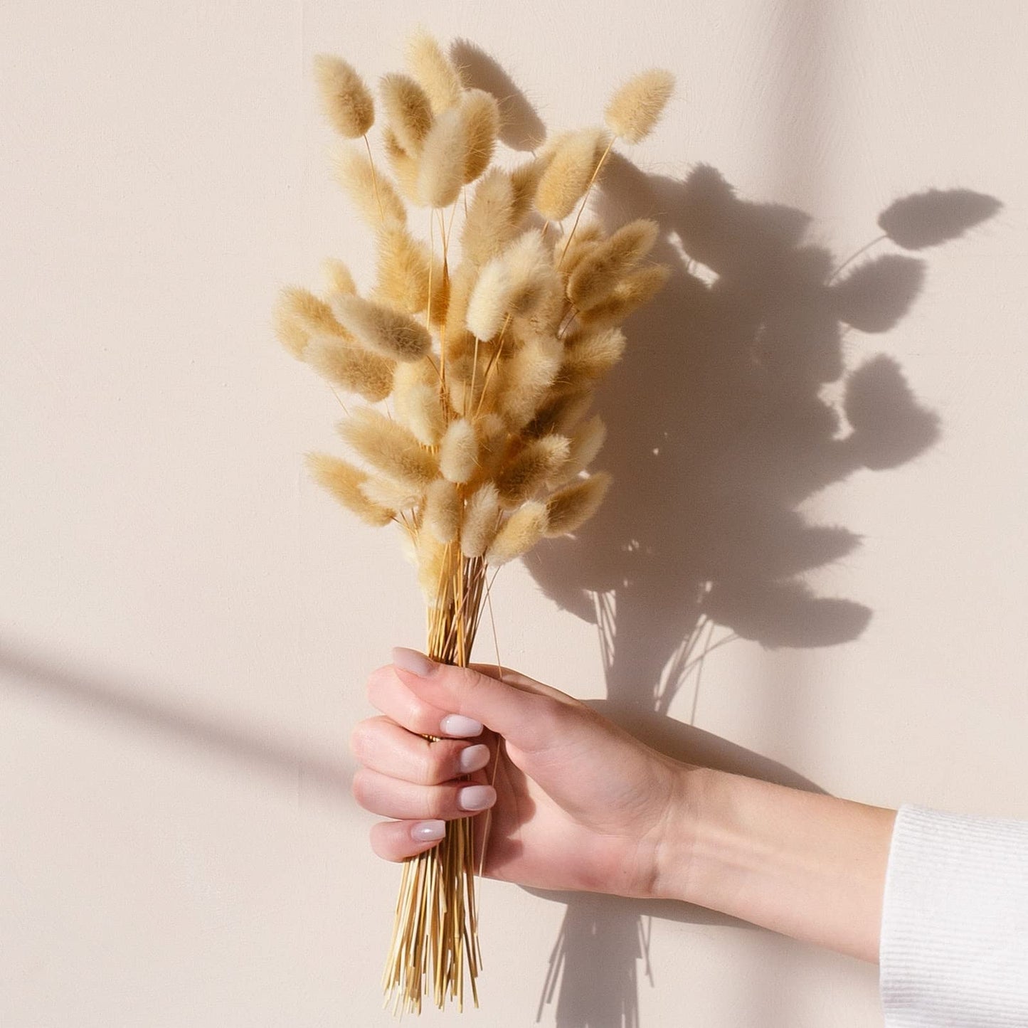 Dried Pampas Grass