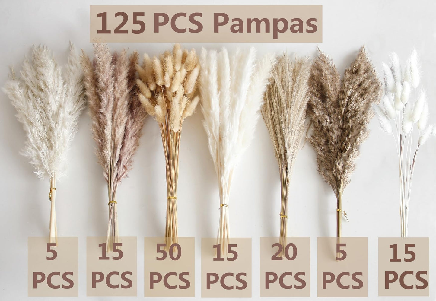 Dried Pampas Grass