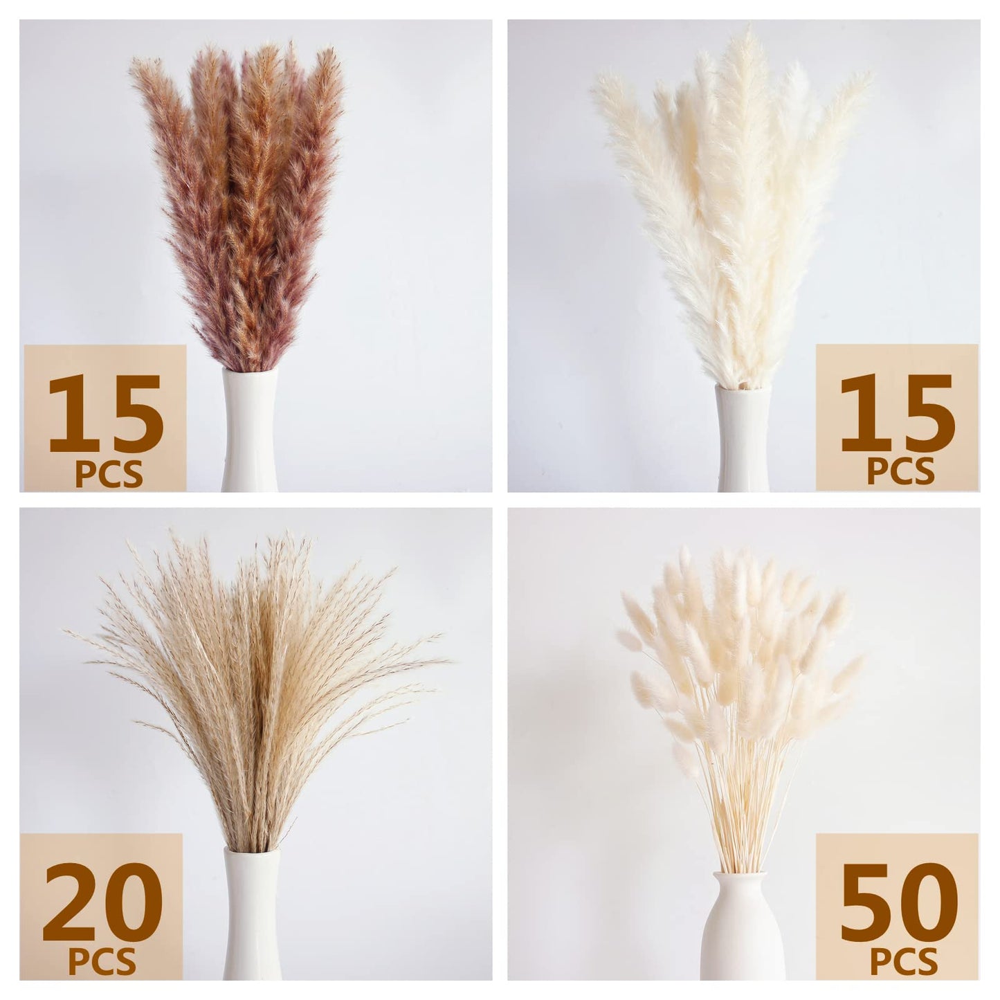 Dried Pampas Grass