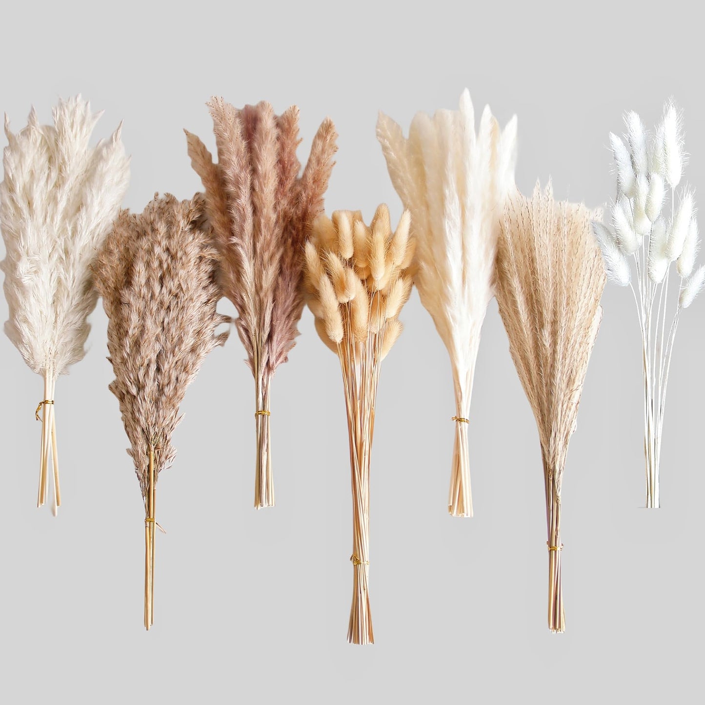 Dried Pampas Grass