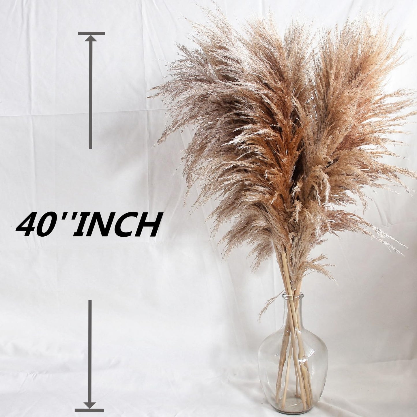 Dried Pampas Grass