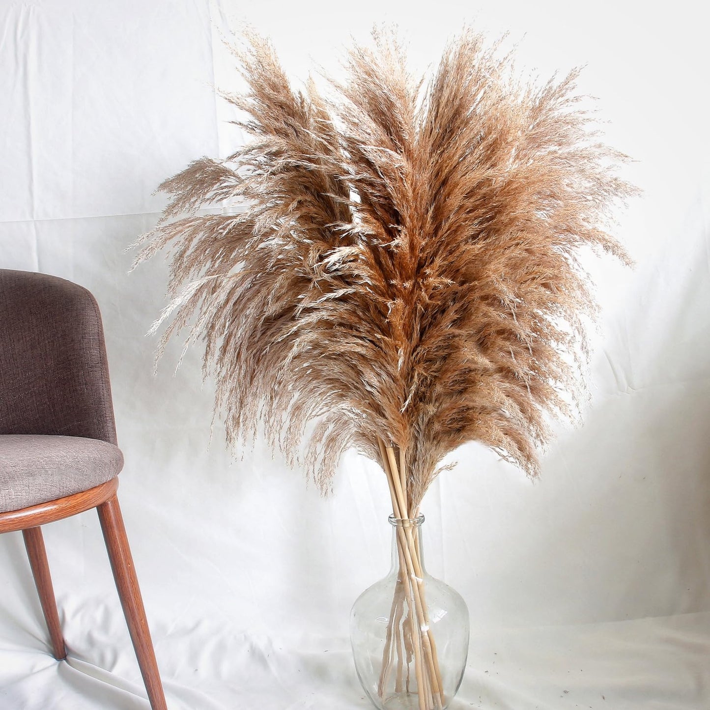Dried Pampas Grass