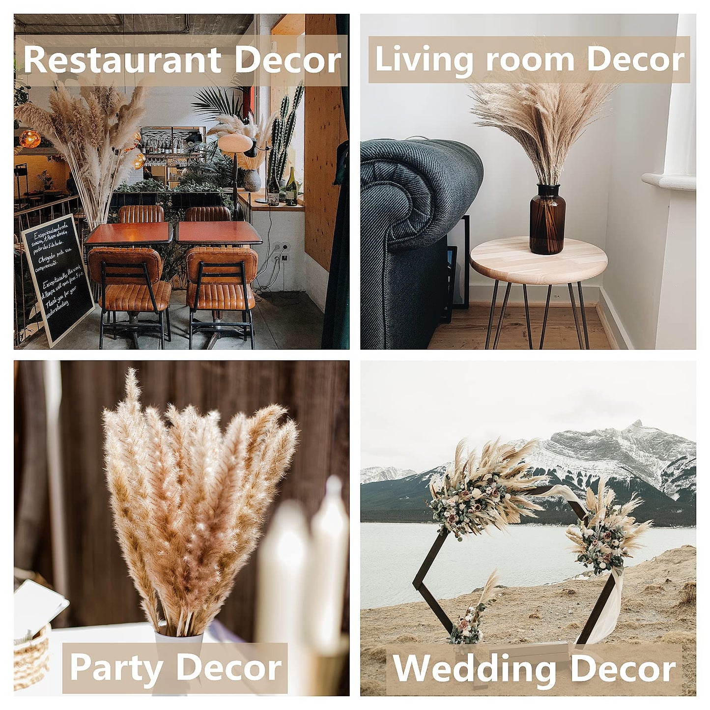 Dried Pampas Grass