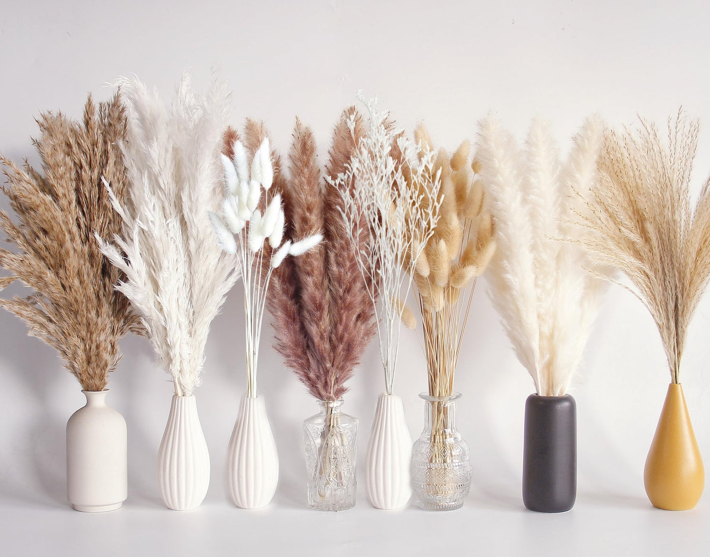 Dried Pampas Grass