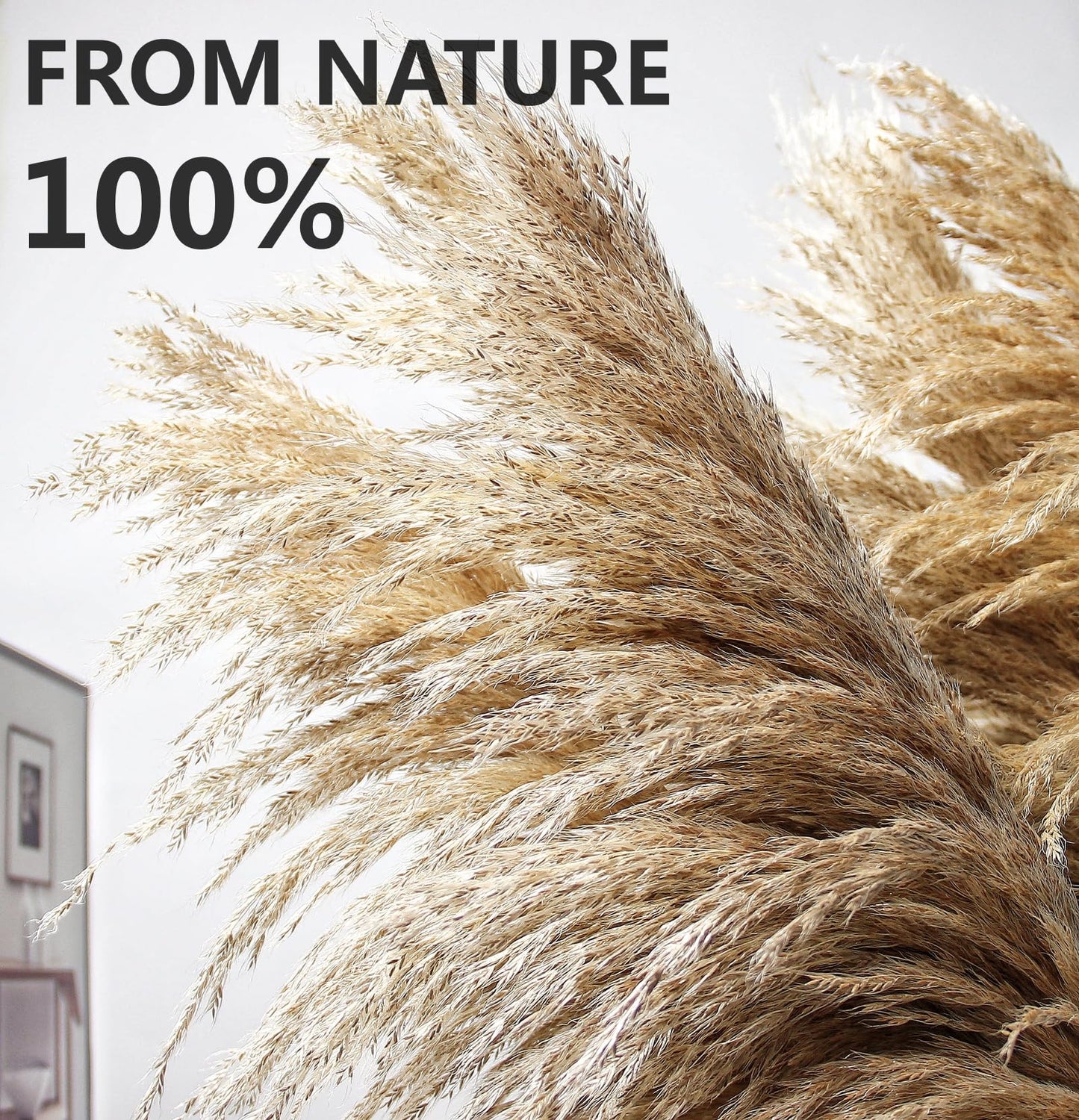 Dried Pampas Grass