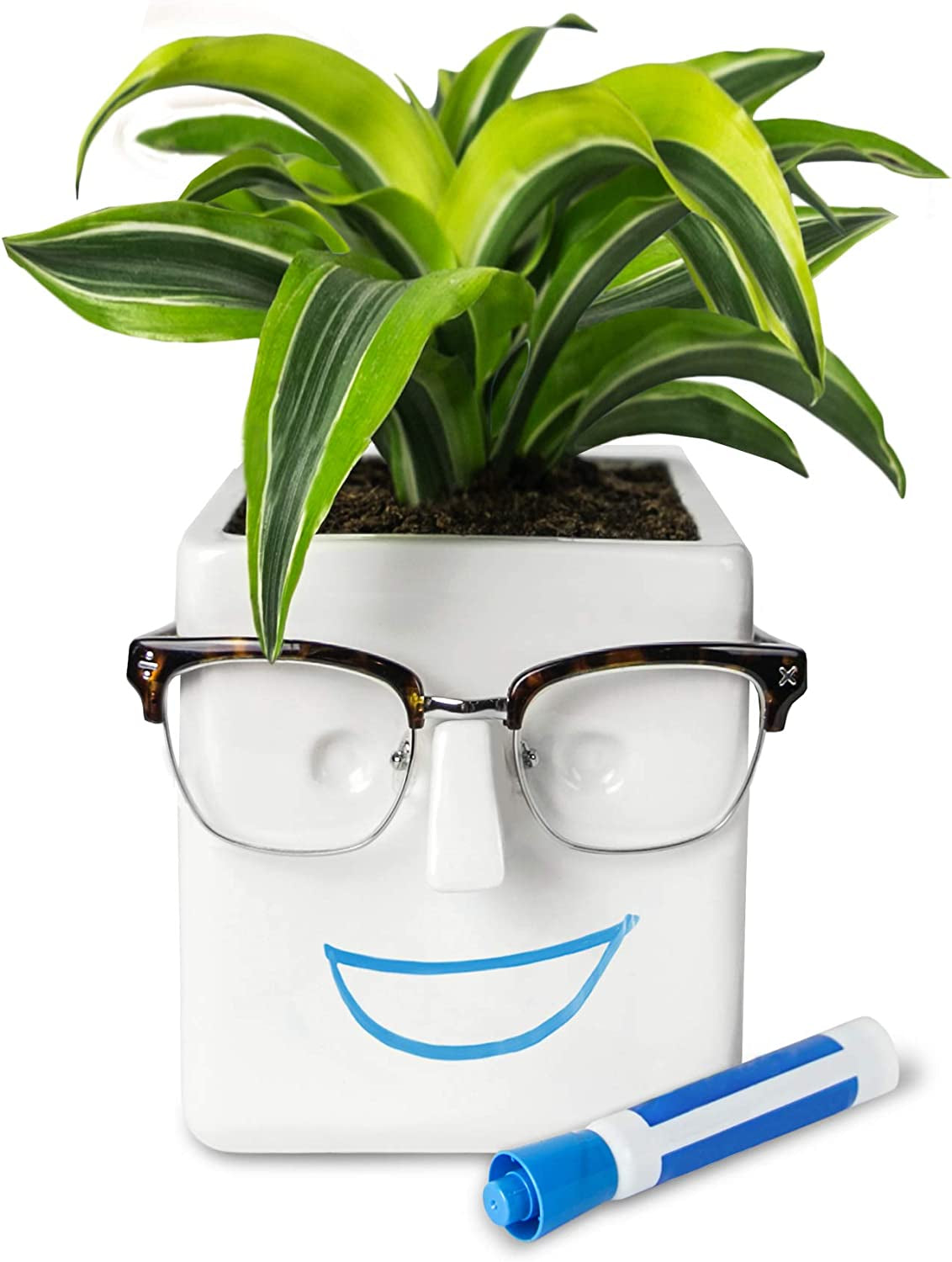 Face Plant, Novelty Planter Holds Small Plants, Glasses & You Can Draw on It. Elegant Ceramic Pot for Succulents, Cacti or Your Average Fern, Perfect Gifting
