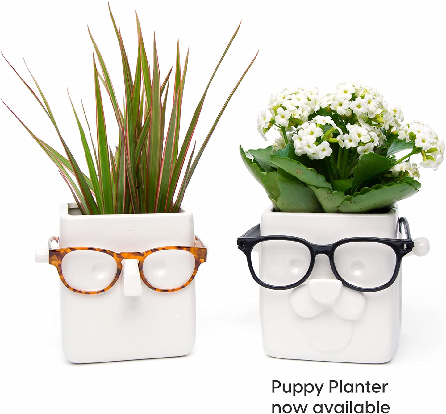 Face Plant, Novelty Planter Holds Small Plants, Glasses & You Can Draw on It. Elegant Ceramic Pot for Succulents, Cacti or Your Average Fern, Perfect Gifting