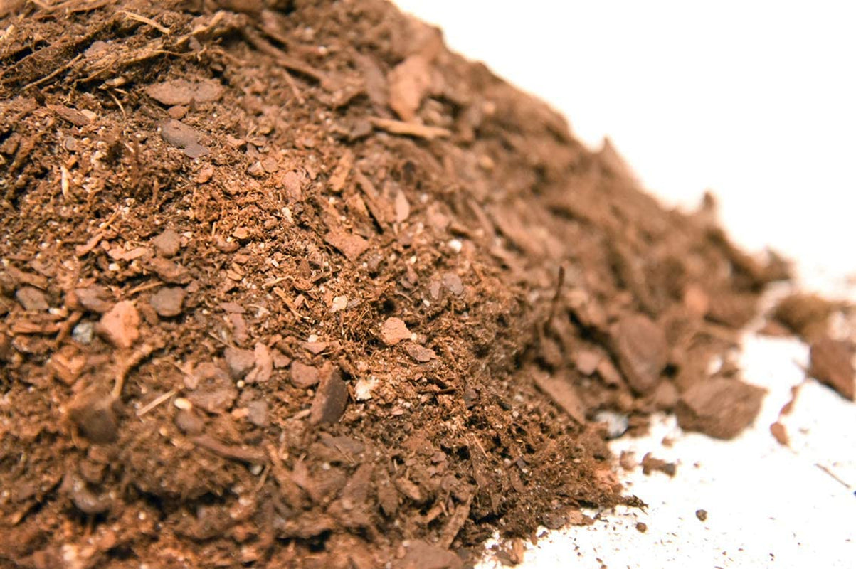 Bonsai Soil by  - 2Qts. | Premium All-Purpose Mix Bonsai Tree Varieties