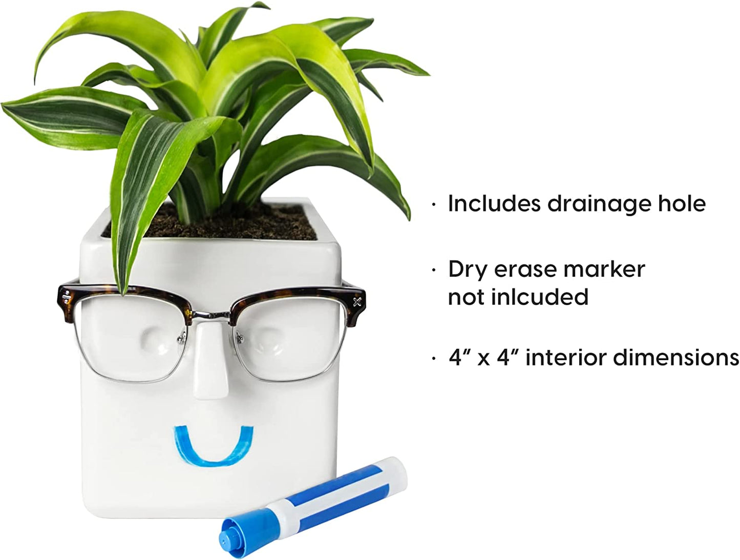 Face Plant, Novelty Planter Holds Small Plants, Glasses & You Can Draw on It. Elegant Ceramic Pot for Succulents, Cacti or Your Average Fern, Perfect Gifting