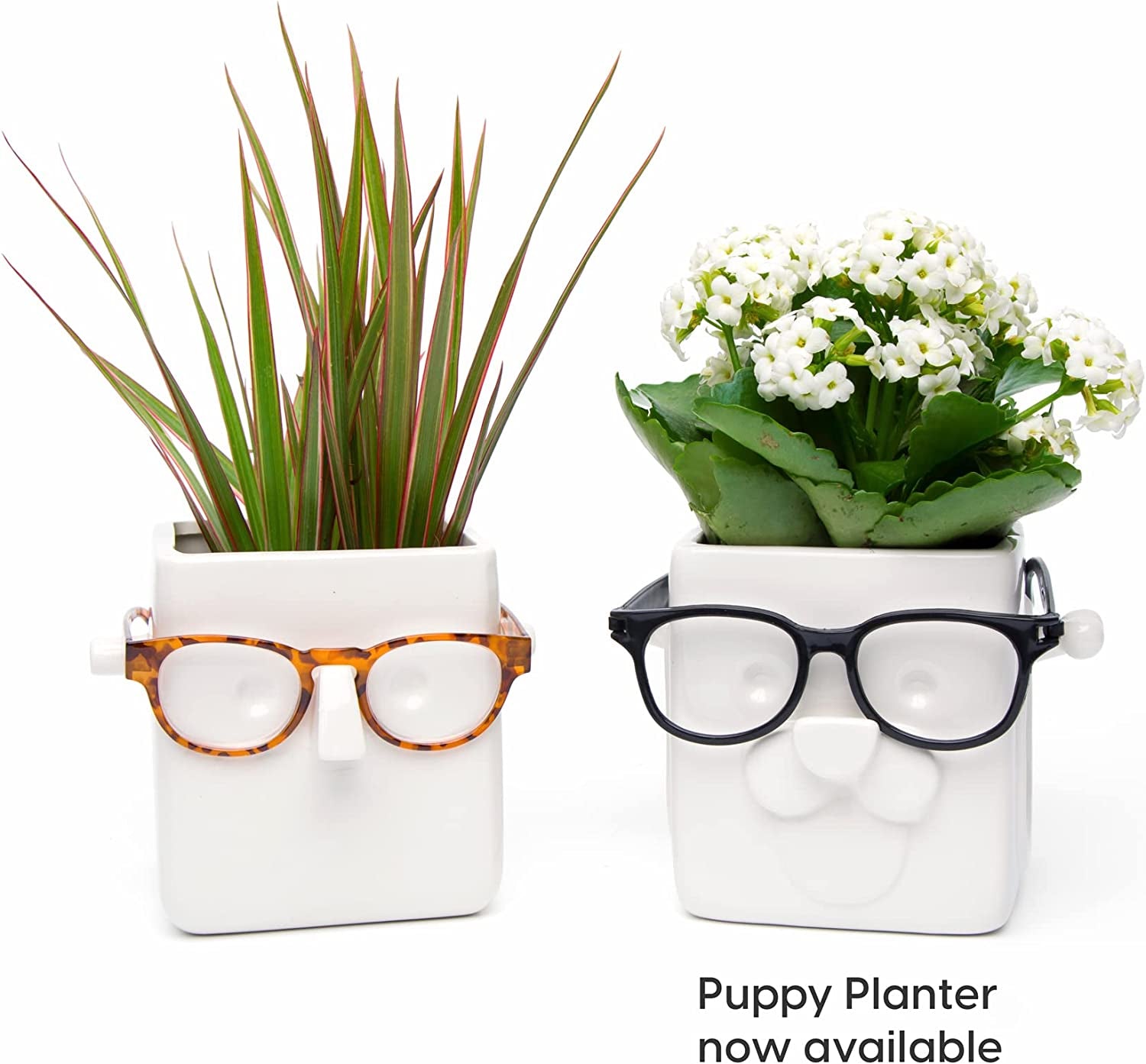 Face Plant, Novelty Planter Holds Small Plants, Glasses & You Can Draw on It. Elegant Ceramic Pot for Succulents, Cacti or Your Average Fern, Perfect Gifting