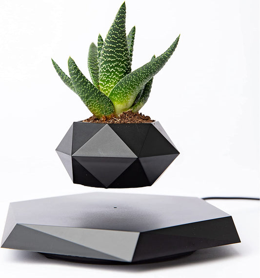 Levitating Plant Pot - Floating Plant Pot for Small Plants. Levitating Decor for Home & Office . Magnetic Floating Levitating Display (Black)